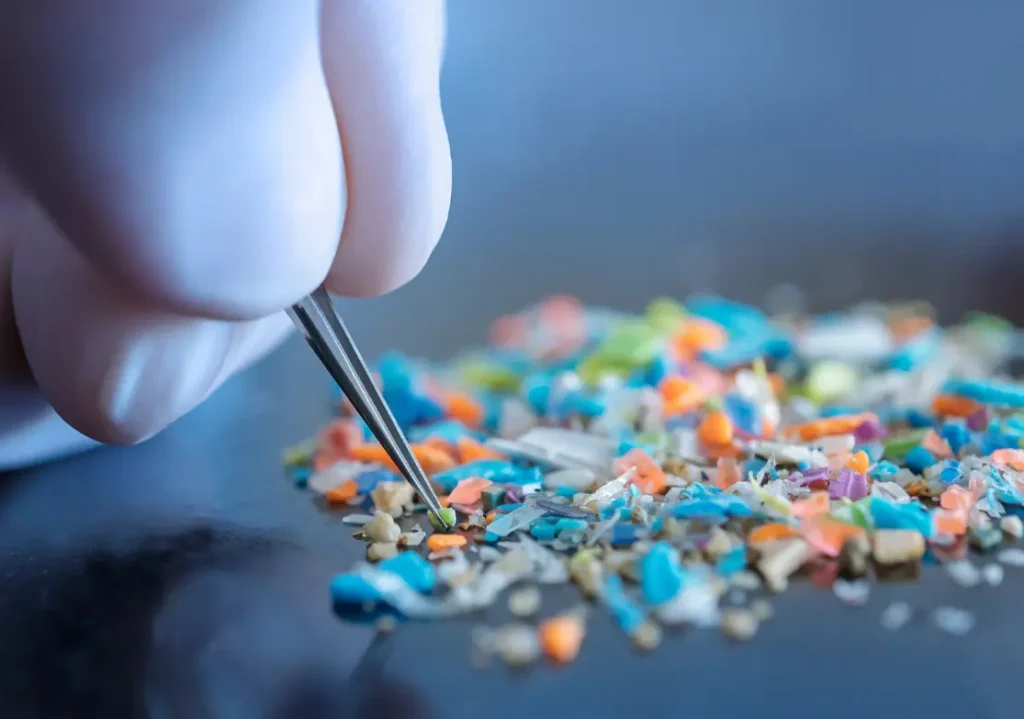microplastika sta trofima